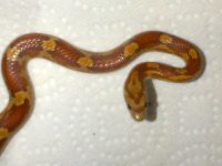 IMG-20130725-00011.jpg