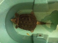 IMG_0126.jpg