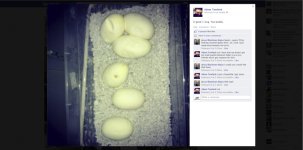 Jesus Blackman is a liar and here's the proof..jpg