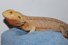 IMG_7045.jpg