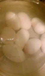 IMAG0755.jpg