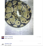 Adam Tawfeek 16.png