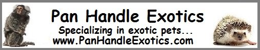 banner.jpg