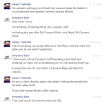Adam Tawfeek 25.png