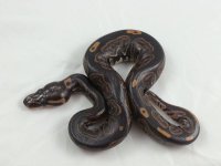 Onyx X LT #2.jpg Onyx X LT #2.jpg