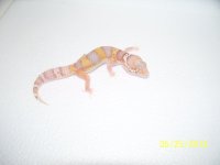 2013 babies 023.jpg