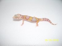 2013 babies 018.jpg