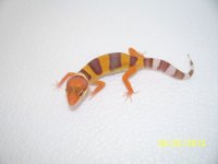 2013 babies 049.jpg