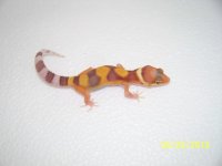 2013 babies 043.jpg