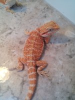 2013-05-31 23.59.04.jpg