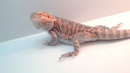 IMG_20130815_182401.jpg