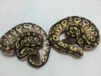 IMG_2013081017652.jpg