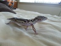 20130617_161659.jpg