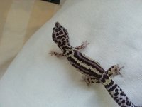 20130617_161630.jpg