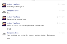 Adam Tawfeek 73.png