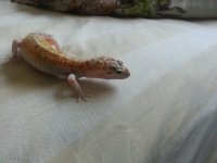 20130617_160623.jpg