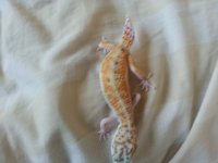 20130617_161311.jpg
