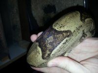 20130511_032449.jpg
