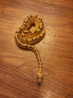 20130318_062239.jpg