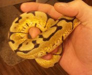 20130318_062501.jpg