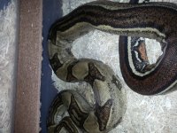 20130511_032554.jpg
