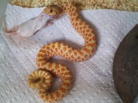 2011-11-27_22.18.20.jpg