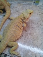 2013-07-02 20.27.14.jpg
