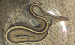 2013-05-24 08.20.00.jpg