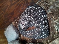 20130702_074209.jpg