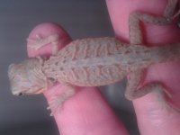 20130624_234650.jpg