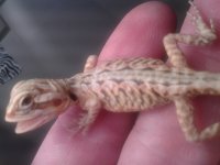 20130624_234811.jpg