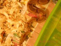 DSCN1034.jpg