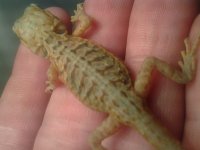 20130624_235229.jpg
