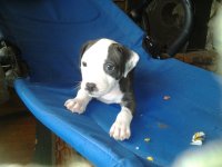 20130422_135854.jpg