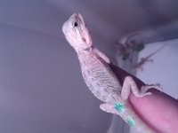 20130625_162312.jpg