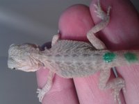 20130625_162914.jpg