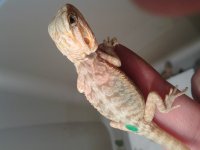 20130625_162417.jpg