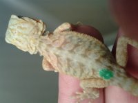 20130625_162344.jpg