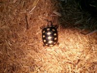 20130625_181541.jpg