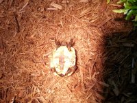 20130625_181550.jpg