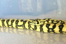 IMG_0674_crop.jpg