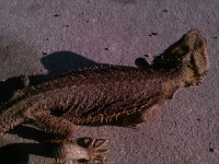 CAM00215.jpg