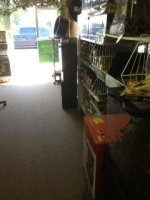 image5.jpeg