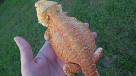 DSC00577.jpg