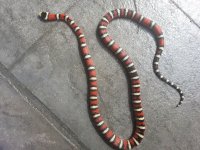 20130529_102243.jpg