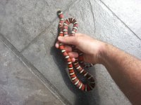 20130529_102230.jpg