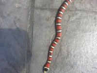 20130529_102139.jpg