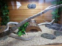 20130530_134358.jpg