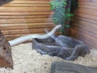 20130530_134349.jpg