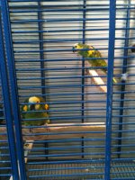 IMG_0365.jpg